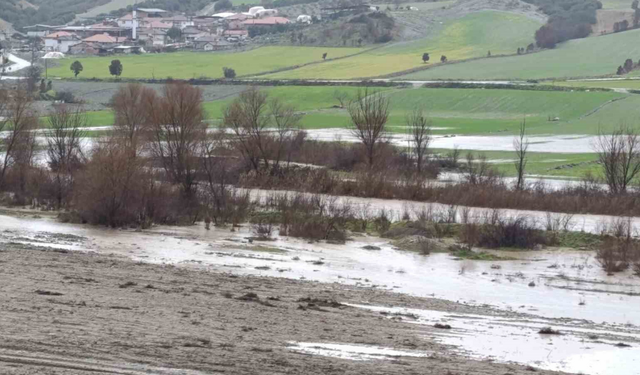 Selendi'de tarım arazileri sular altında kaldı