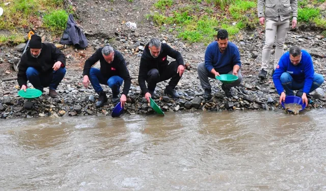 Manisa'dan seslendi: Altın avcıları derede altın aradı