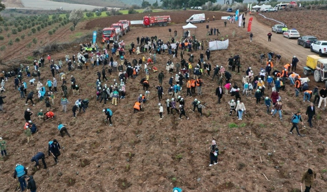 Akhisar’da doğa için dev adım: 2 bin 500 fidan toprakla buluştu