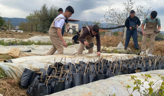 Manisa Sarıgöl’de liselilerden tarıma katkı: Emcelli biberi yeniden üretimde