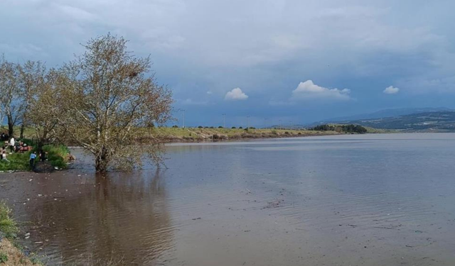 Manisa'da barajlarda doluluk arttı, çiftçinin yüzü güldü