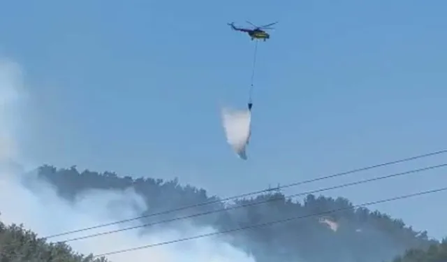 Manisa’da orman yangını: Soma’da alevlere havadan ve karadan müdahale