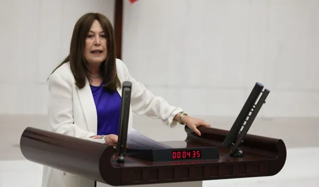 İYİ Partili Sunat: Manisa ekonomisi alarm veriyor