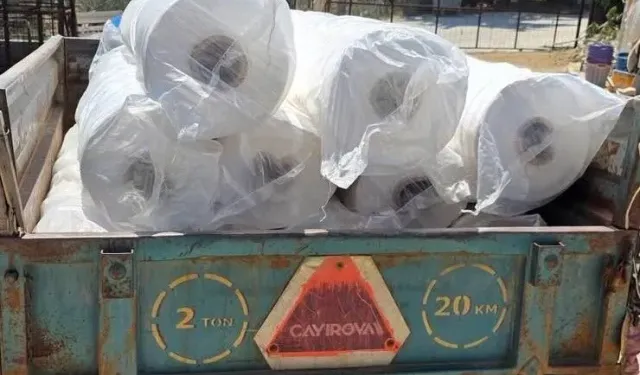 Manisa'da kavurucu sıcaklar bağları örttürdü!