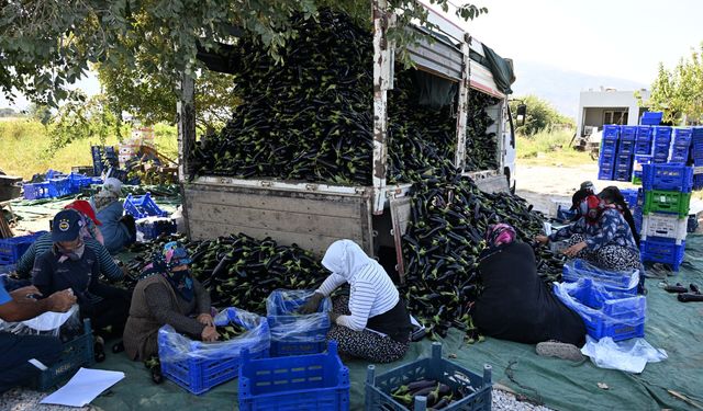 Manisa Büyükşehir Belediyesi afetzede çiftçinin yüzünü güldürdü