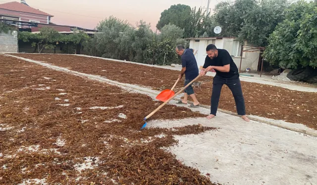 MANİSA