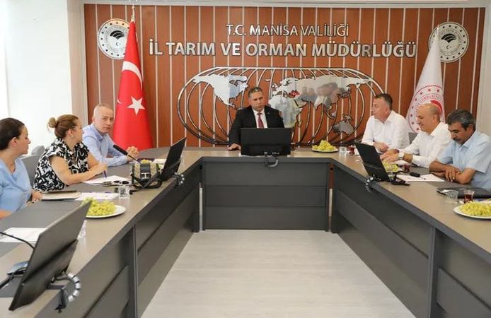 Manisa'da Üzüm Rekolte Tahmin Komisyonu toplandı