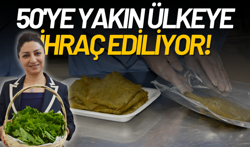 Manisa’da coğrafi işaretli asma yaprağı 50'ye yakın ülkeye ihraç ediliyor!