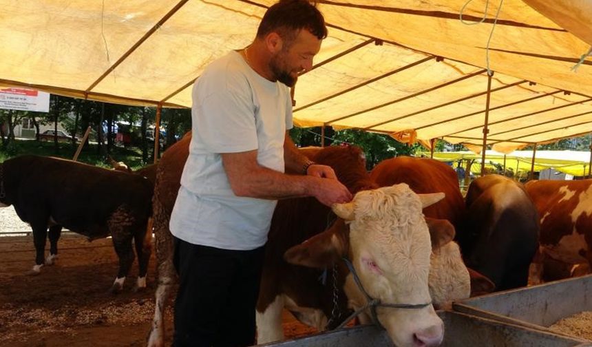 81 ile acil kodlu yazı: Ülke genelinde tüm hayvan pazarları kapatıldı