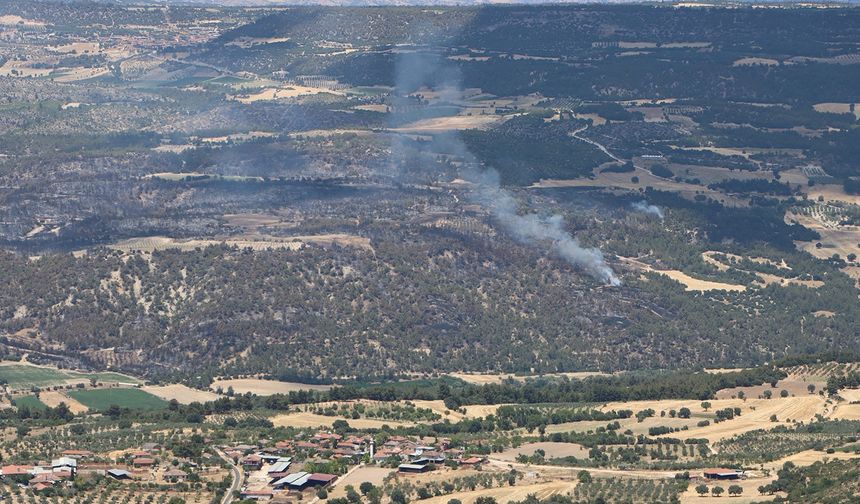 Kula’daki orman yangınında son durum