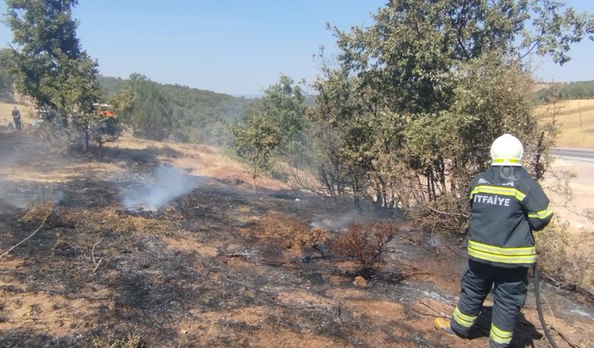 Manisa'da arazi yangını!