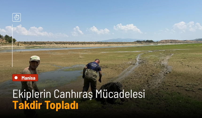 Bataklığa saplanan katırları böyle kurtardılar!
