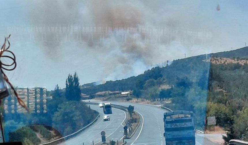 Manisa Kırkağaç'ta yangın!