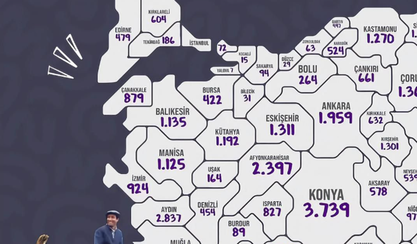 Haritada ortaya çıktı: Manisa’da bin 125 eşek var!