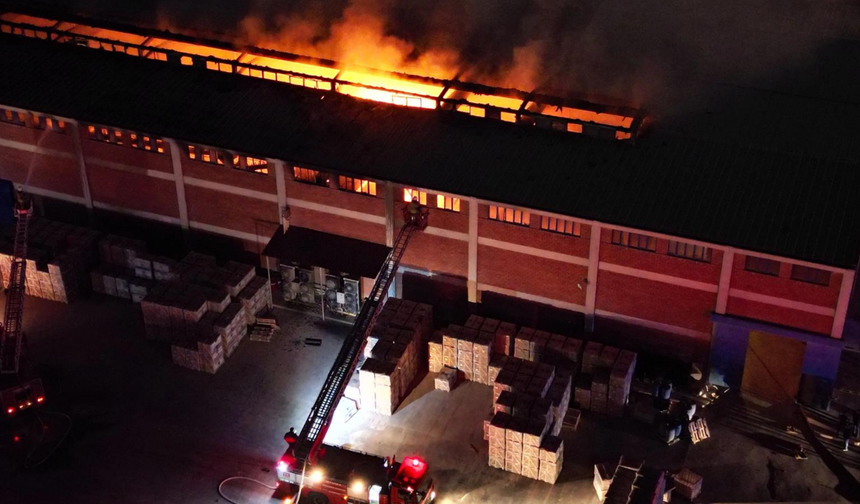 Turgutlu'da bir fabrikada yangın çıktı