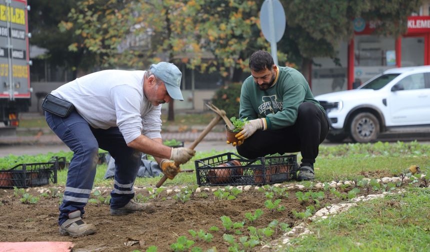 Turgutlu güzelleşiyor: Park Bahçe Müdürlüğü iş başında