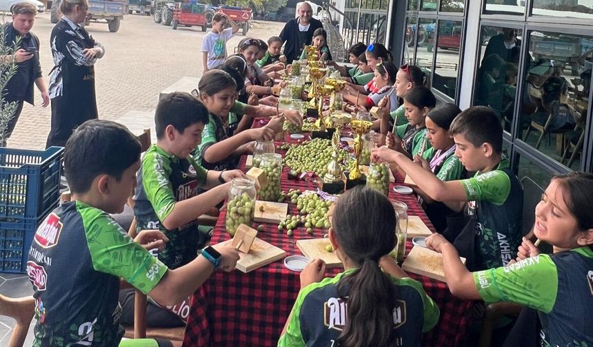 Akhisar’dan anlamlı kampanya:“Kalp Kırma, Zeytin Kır!”