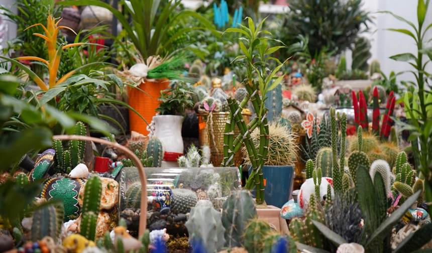 Öğretmenler günü öncesi çiçeklere yoğun ilgi