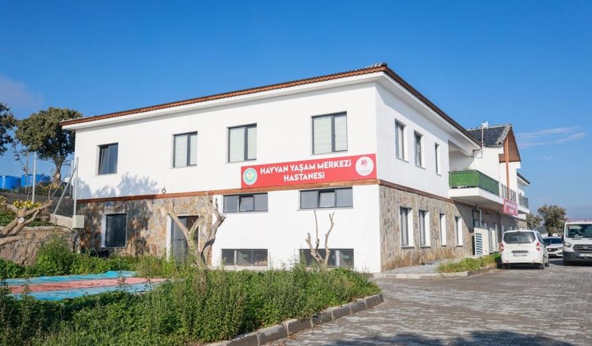 Yunusemre Hayvan Yaşam Merkezi' nden sahipsiz dostlara sıcak yuva