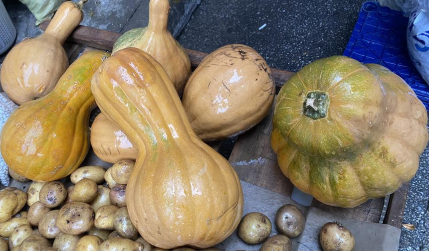 Alaşehir semt pazarında şifa deposu bal kabağına yoğun ilgi