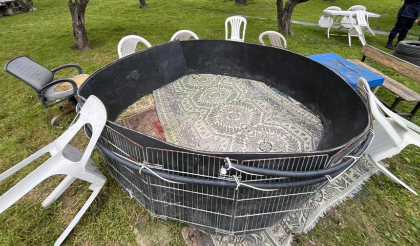 Manisa’da horoz dövüşü skandalı: 15 kişiye ceza yağdı