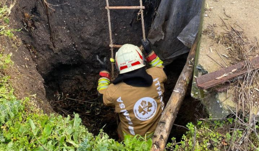 Kırkağaç'ta 5 metrelik su kuyusuna düşen köpek itfaiye tarafından kurtarıldı