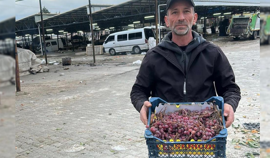 Takvim değişti, hasat bitmedi: 2025 üzümleri 2026’da kesildi