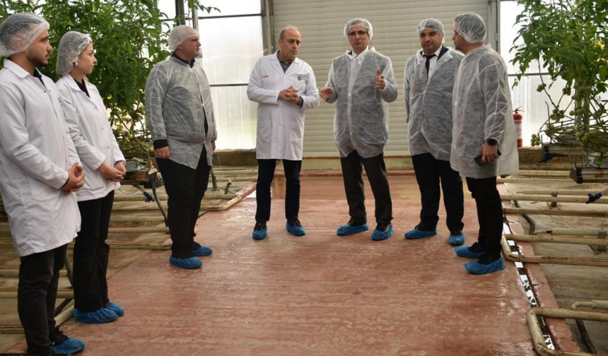 Kaymakam Güldoğan, modern seralarda üretim ve istihdamı değerlendirdi