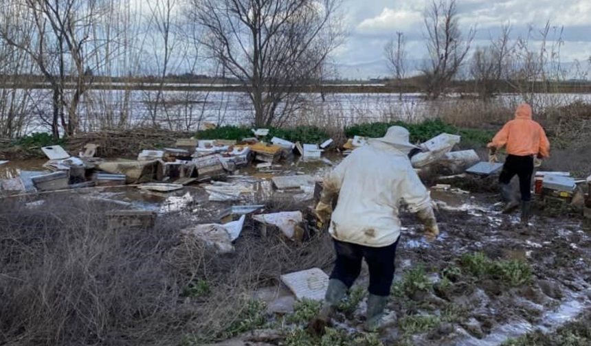 Salihli’de Gediz Nehri taştı: 103 arı kovanı sele kapıldı