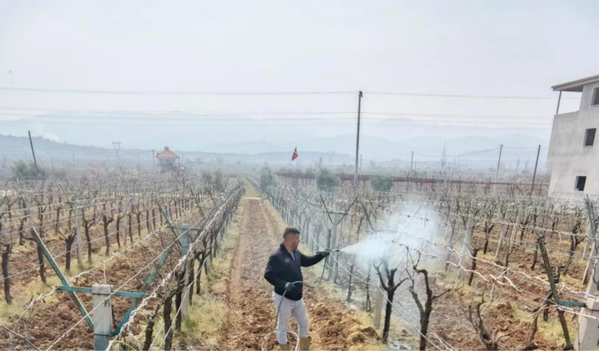 Sarıgöl’de bağlarda doğru ilaçlama ve bilinçli kullanım çağrısı