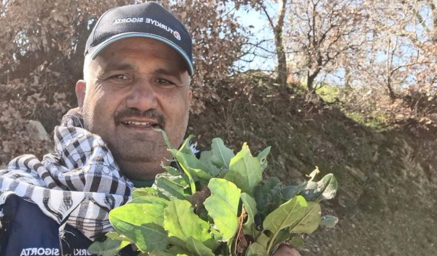 Sarıgöl’de baharın habercisi ekşi kulak tezgahlarda yerini aldı