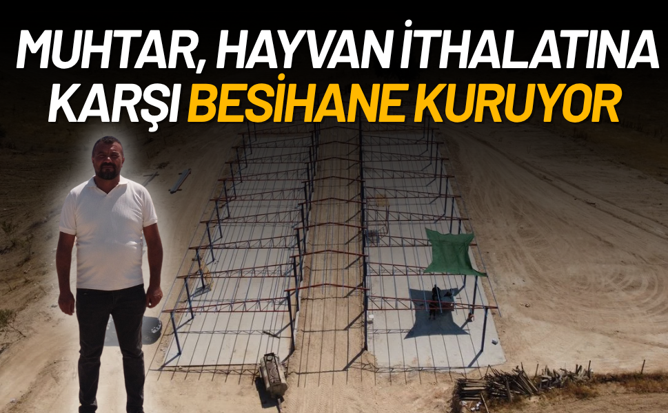 Manisalı Muhtar, 300 büyükbaş kapasiteli besihane için kolları sıvadı