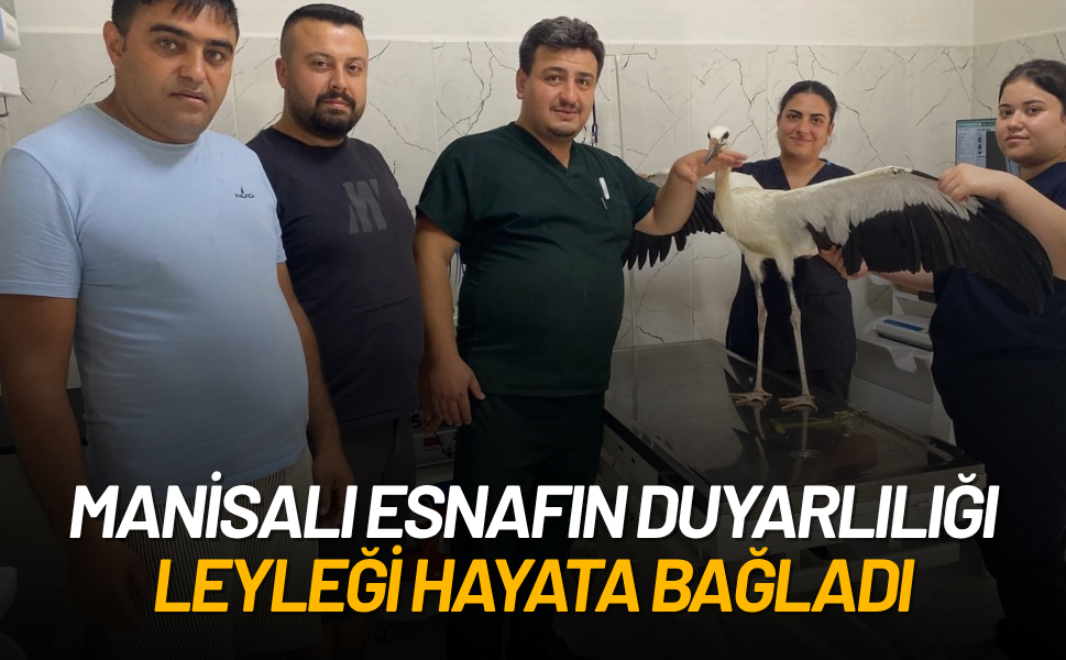 Manisalı esnafın duyarlılığı leyleği hayata bağladı