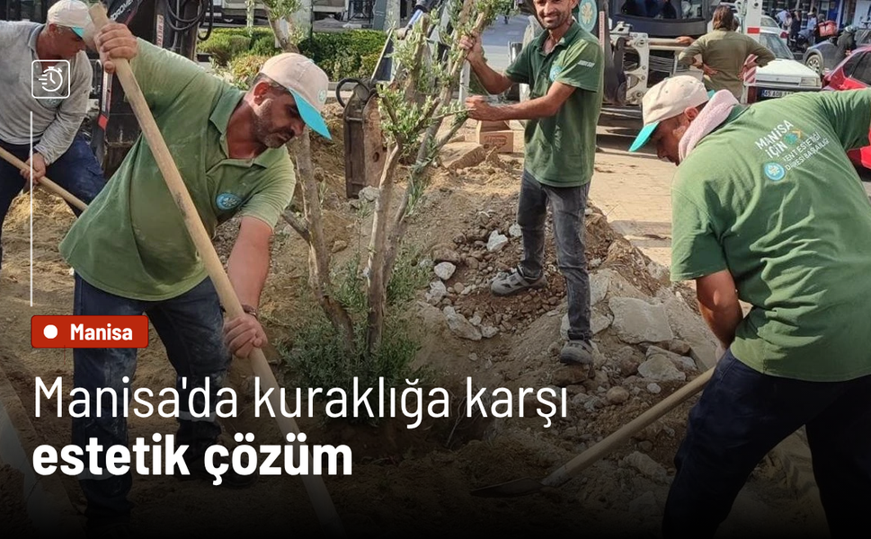 Manisa'da kuraklığa karşı estetik çözüm