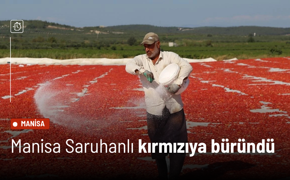 Manisa Saruhanlı kırmızıya büründü