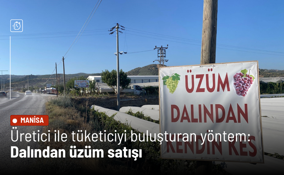 Üretici ile tüketiciyi buluşturan yöntem: Dalından üzüm satışı