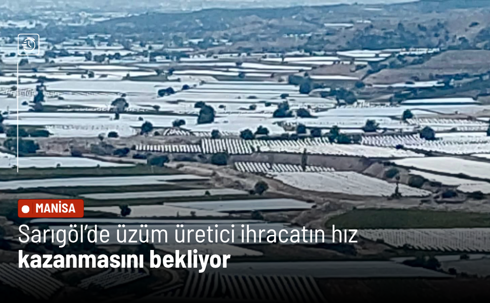 Sarıgöl’de üzüm üretici ihracatın hız kazanmasını bekliyor