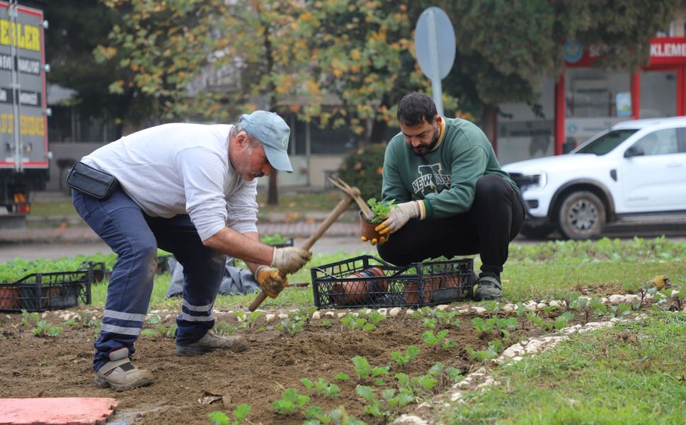 Turgutlu güzelleşiyor: Park Bahçe Müdürlüğü iş başında