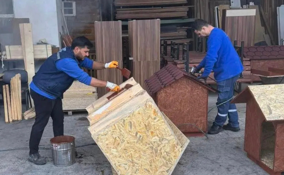 Başkan Dutlulu'dan hayvan barınağına kulübe desteği