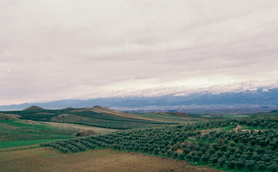 Manisa’da çevre seferberliği yeniden başlıyor