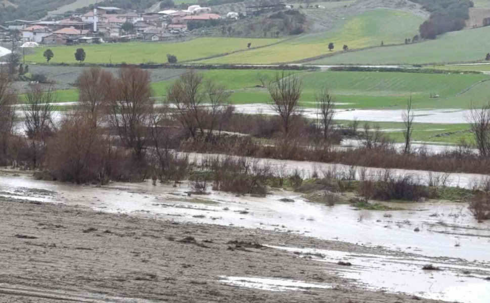 Selendi'de tarım arazileri sular altında kaldı