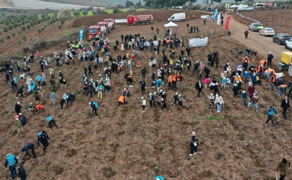 Akhisar’da doğa için dev adım: 2 bin 500 fidan toprakla buluştu