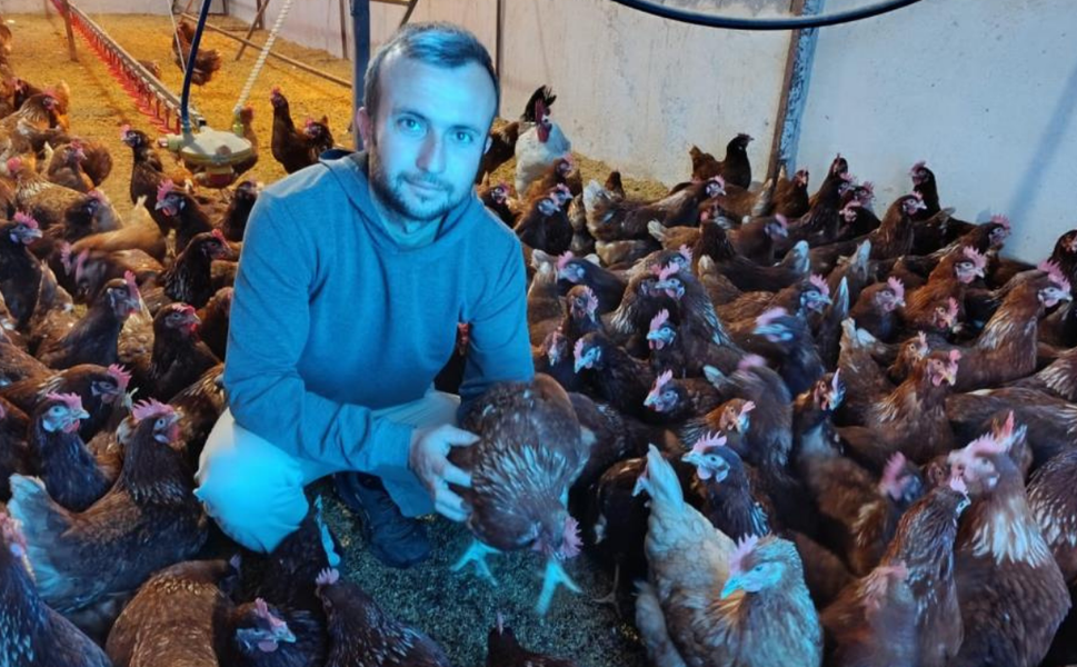 Kiralar artınca köye döndü, doğal yumurta üretimine başladı