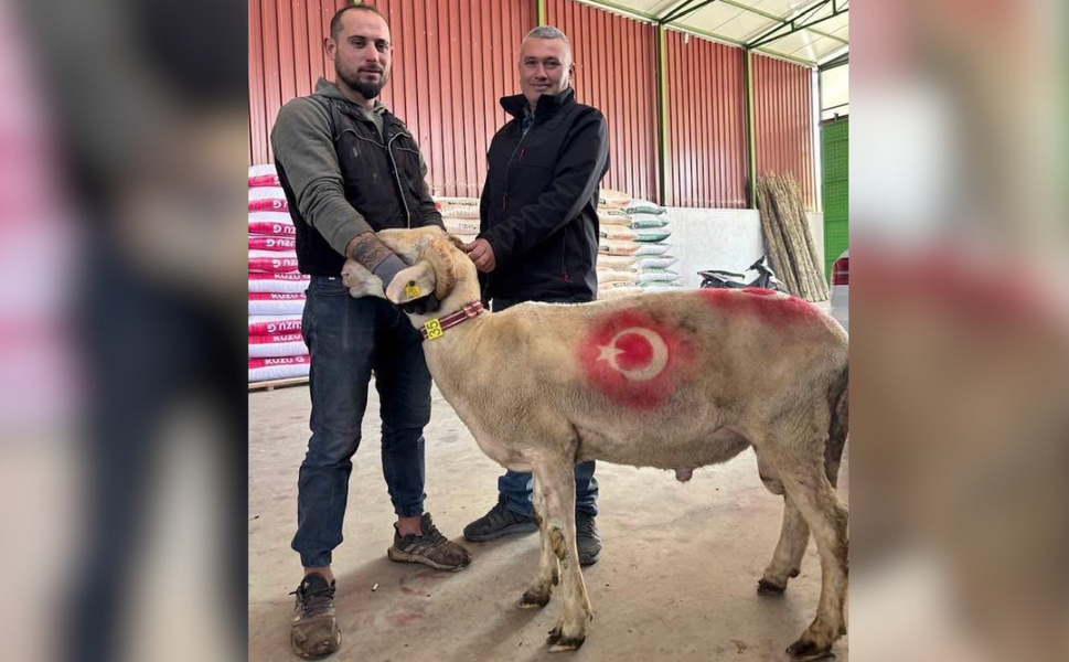 Sarıgöl’de kurbanlık pazarı hareketlendi