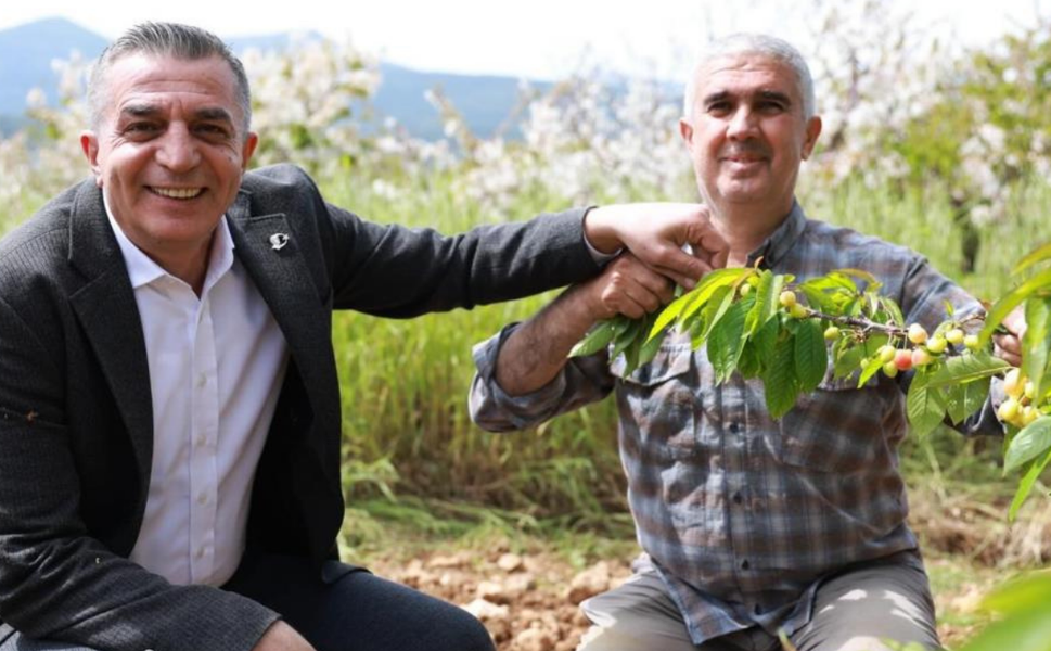 Başkan Şimşek, hasat öncesi sahaya indi