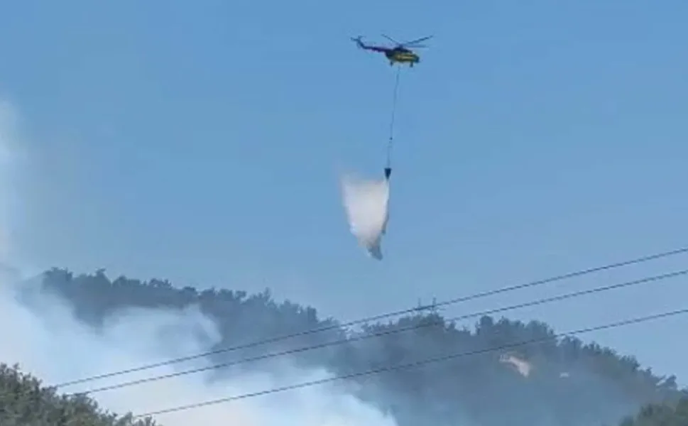 Manisa’da orman yangını: Soma’da alevlere havadan ve karadan müdahale