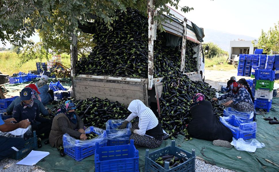 Manisa Büyükşehir Belediyesi afetzede çiftçinin yüzünü güldürdü