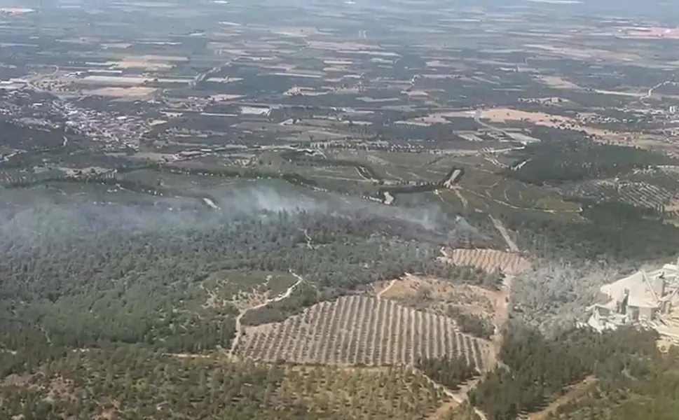 Soma’da orman yangını: Havadan ve karadan müdahale ediliyor