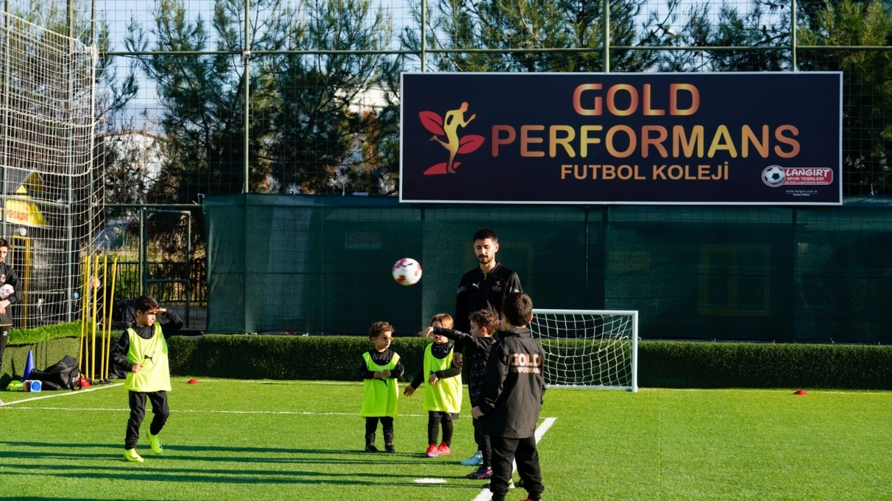 Gold Performans 4-1