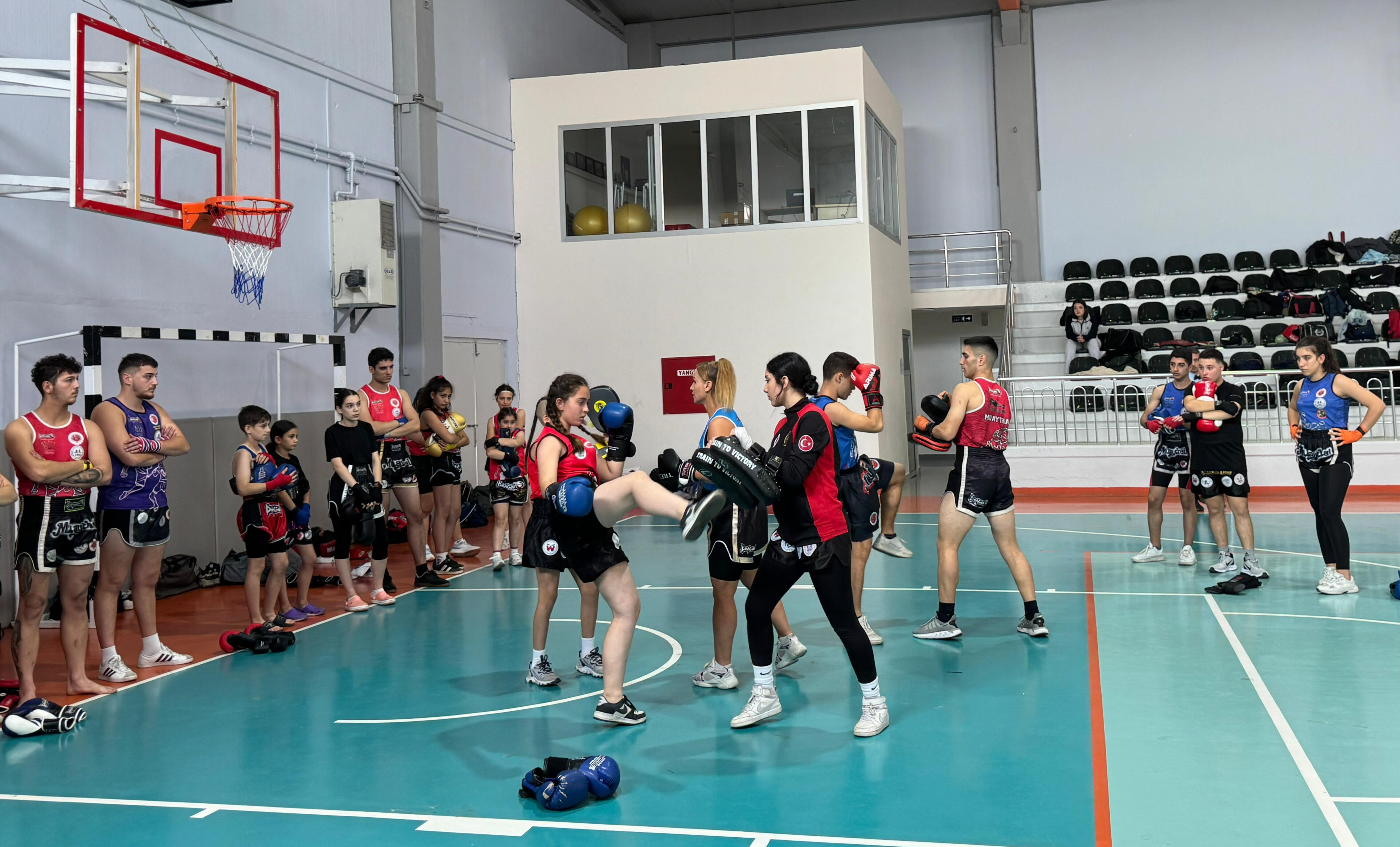 3D99486F Eb51 467E 9828 Dd430D2Ac507